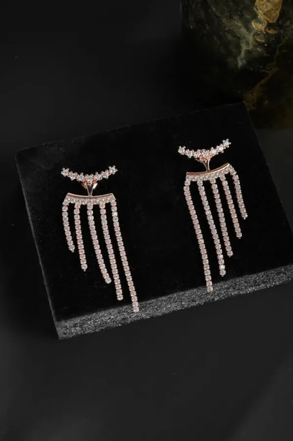 Silver_Premium_&_Fancy_Design_Earrings_For_Women