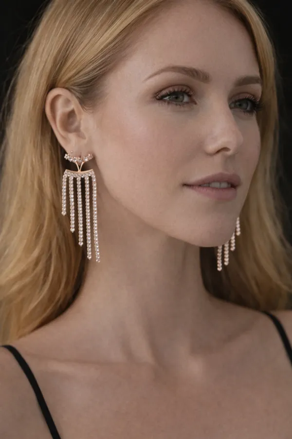 Silver_Premium_&_Fancy_Design_Earrings_For_Women