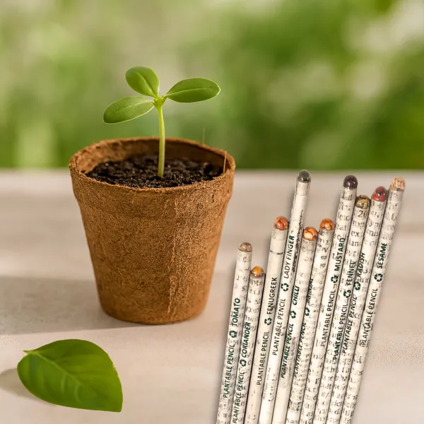 Black_Eco_Friendly_Recycled_Newspaper_Pencils_With_Seeds_Pack_Of_500_Pieces_Pencil