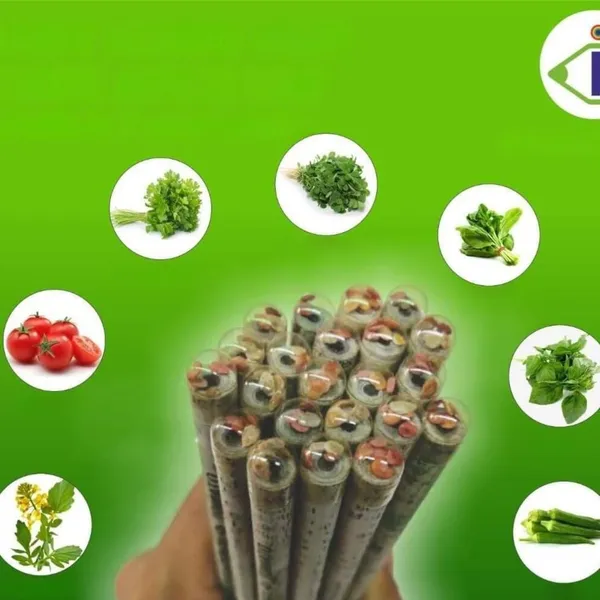 Black_Eco_Friendly_Recycled_Newspaper_Pencils_With_Seeds_Pack_Of_100_Pieces_Pencil