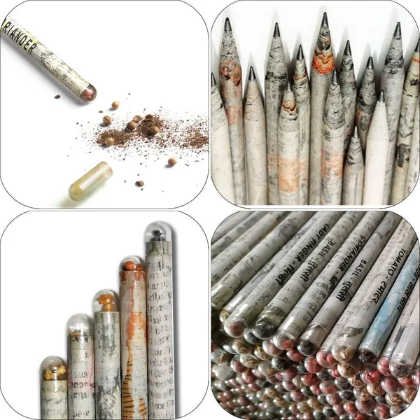Black_Eco_Friendly_Recycled_Newspaper_Pencils_With_Seeds_Pack_Of_100_Pieces_Pencil