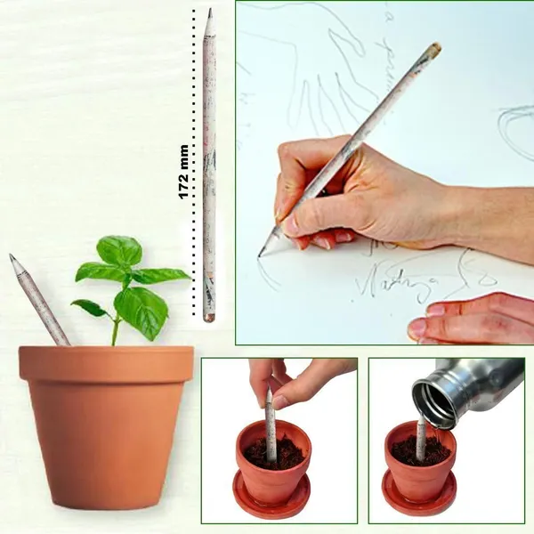 Black_Eco_Friendly_Recycled_Newspaper_Pencils_With_Seeds_Pack_Of_500_Pieces_Pencil