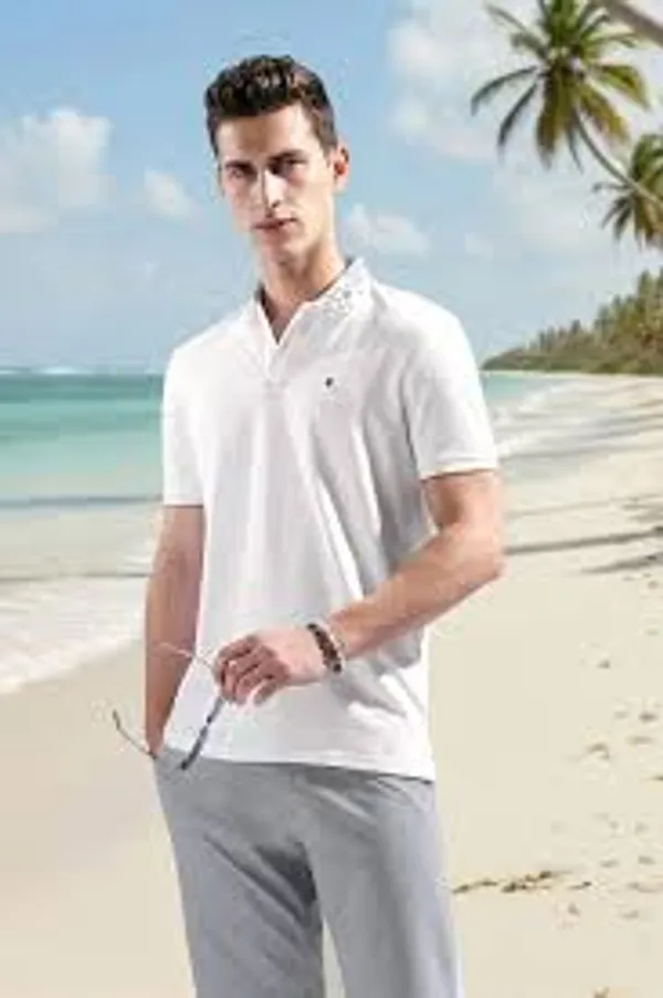 Men's_Solid_Regular_Fit_Cotton_T-Shirt