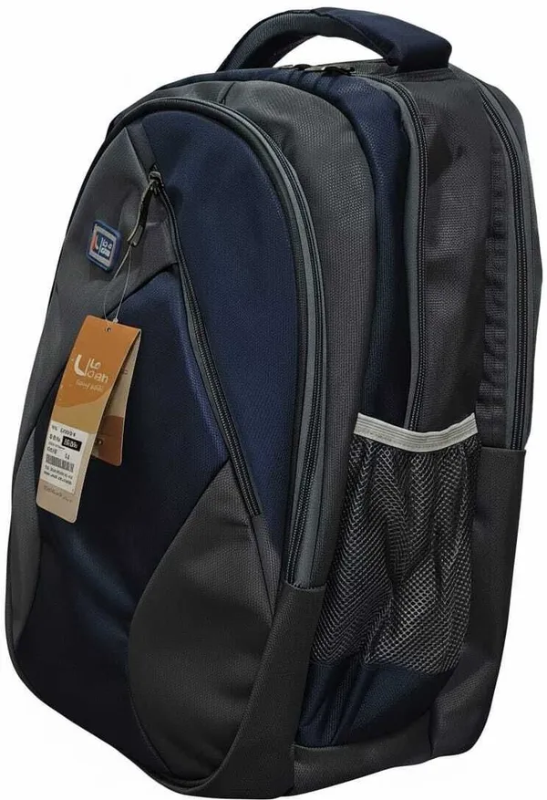 Lechain_Lc_Fish_40_L_Laptop_Backpack_(Maroon)