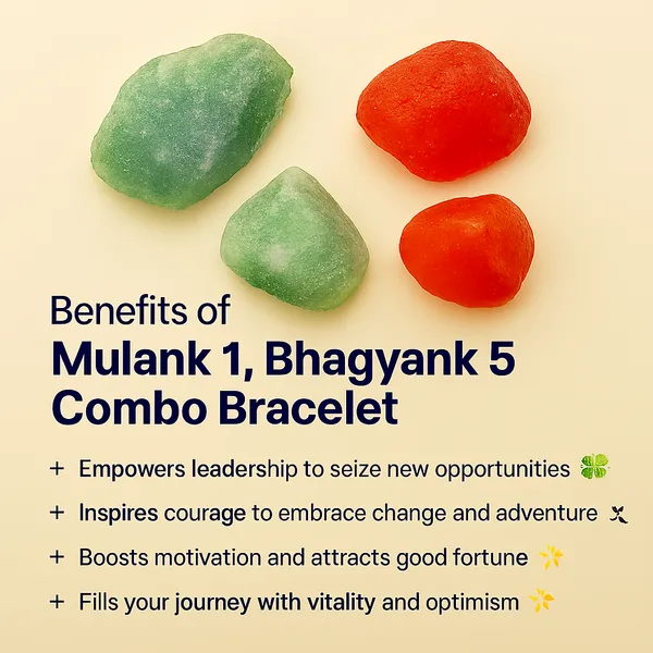 MULANK_1_BHAGYANK_5:_LOGIC_&_ACTION_CATALYST_BRACELET�|_GREEN_AVENTURINE_&_CARNELIAN:_ACHIEVE_YOUR_GOALS