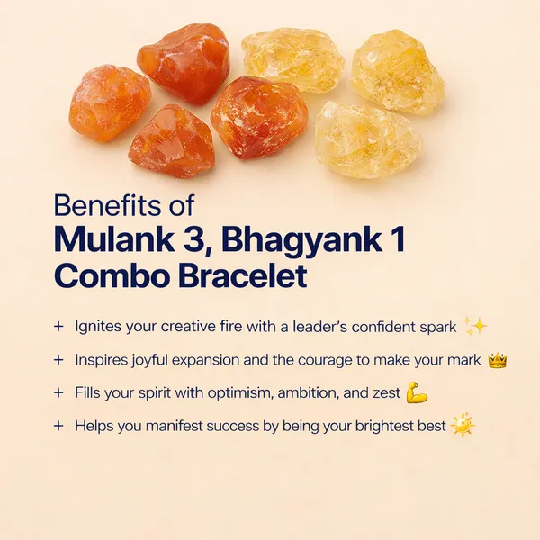 MULANK_3_BHAGYANK_1:_ROYAL_WISDOM_&_SUCCESS_BRACELET�|_CARNELIAN_&_CITRINE_DUO