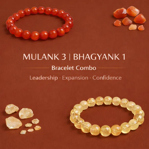 MULANK_3_BHAGYANK_1:_ROYAL_WISDOM_&_SUCCESS_BRACELET�|_CARNELIAN_&_CITRINE_DUO
