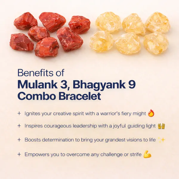 MULANK_3_BHAGYANK_9:_RIGHTEOUS_ACTION_&_COURAGE_BRACELET�|_RED_JASPER_&_CITRINE_DUO