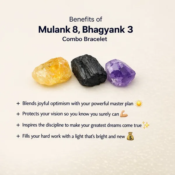MULANK_8_BHAGYANK_3:_HARD_WORK_&_FINANCIAL_REWARD_BRACELET�|_CITRINE_&_BLACK_TOURMALINE_DUO