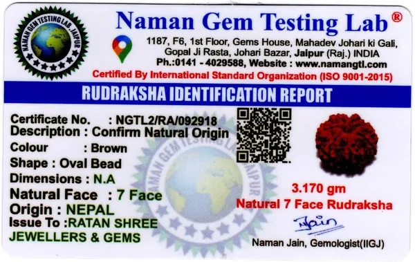 Brown_7_Mukhi_Nepali_Rudraksha_925_Silver_Lab_Certfied_Rudraksha_Natural_And_Certified_Unisex_For_Both_Men_And_Women_(Nepali)