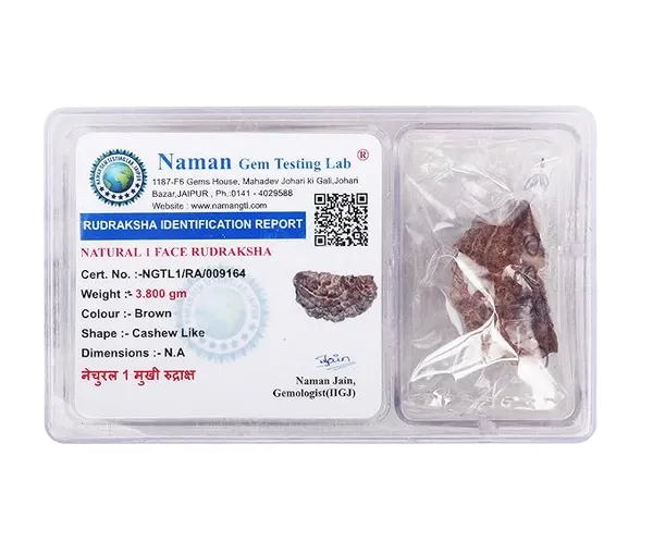 Original_1_Mukhi_Rudraksha_Bead_–_Certified_Natural_&_Lab_Tested_|_For_Meditation,_Peace,_Spiritual_Growth_|_Ratna_Shree-Nepali