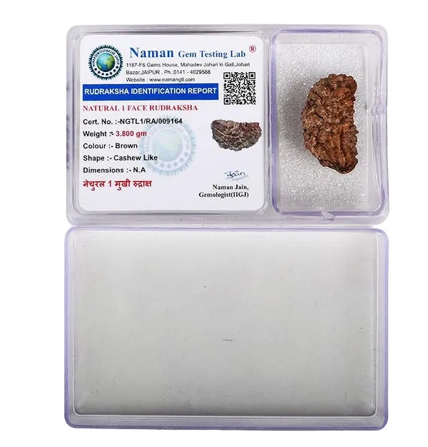 Original_1_Mukhi_Rudraksha_Bead_–_Certified_Natural_&_Lab_Tested_|_For_Meditation,_Peace,_Spiritual_Growth_|_Ratna_Shree-Nepali