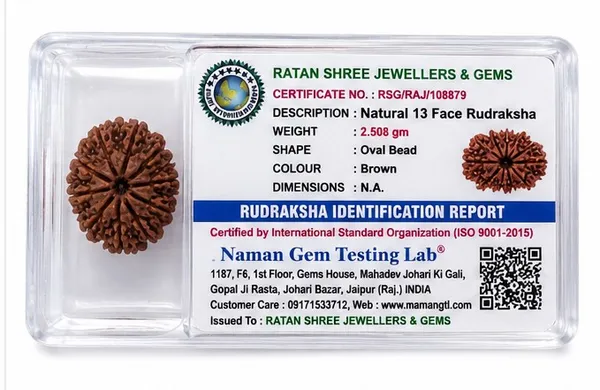 Ratna_Shree_13_Mukhi_Rudraksha_(Nepal_Origin)_|_Original_Natural_13_Face_Rudraksha_Bead_|_Lab_Certified_Nepali_Rudraksh_for_Collection,_Puja_&_Spiritual_Use