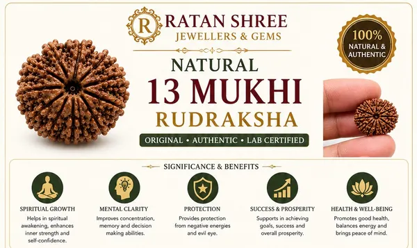 Ratna_Shree_13_Mukhi_Rudraksha_(Nepal_Origin)_|_Original_Natural_13_Face_Rudraksha_Bead_|_Lab_Certified_Nepali_Rudraksh_for_Collection,_Puja_&_Spiritual_Use