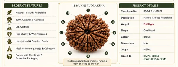 Ratna_Shree_13_Mukhi_Rudraksha_(Nepal_Origin)_|_Original_Natural_13_Face_Rudraksha_Bead_|_Lab_Certified_Nepali_Rudraksh_for_Collection,_Puja_&_Spiritual_Use