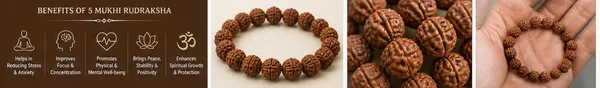 Ratna_Shree_5_Mukhi_Rudraksha_Bracelet_Certified_|_Original_Nepali_Panch_Mukhi_Rudraksha_Bracelet_for_Men_&_Women_|_Spiritual_Healing,_Peace,_Positivity,_Health_&_Protection_Bracelet