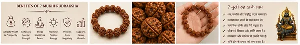 Ratna_Shree_7_Mukhi_Rudraksha_Bracelet_|_Original_Certified_Six_Face_Rudraksha_Bracelet_for_Men_&_Women_|_Lab_Tested_Adjustable_Spiritual_Bead_Bracelet_|_Premium_Energized_Bracelet_Gift