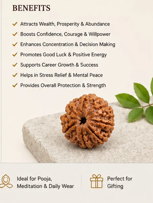 Ratna_Shree_7_Mukhi_Rudraksha_Original_Nepal_Lab_Certified_|_Natural_Seven_Face_Rudraksha_Bead_for_Pendant,_Bracelet,_Puja_&_Collection_|_Brown_Premium_Rudraksha