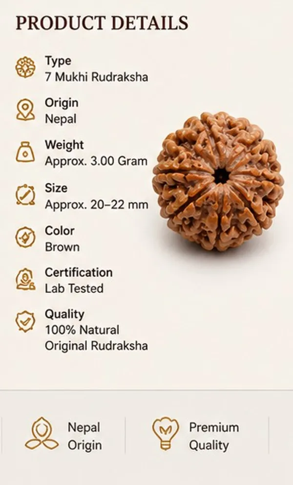 Ratna_Shree_7_Mukhi_Rudraksha_Original_Nepal_Lab_Certified_|_Natural_Seven_Face_Rudraksha_Bead_for_Pendant,_Bracelet,_Puja_&_Collection_|_Brown_Premium_Rudraksha