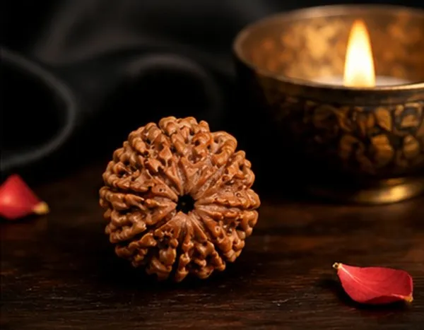 Ratna_Shree_7_Mukhi_Rudraksha_Original_Nepal_Lab_Certified_|_Natural_Seven_Face_Rudraksha_Bead_for_Pendant,_Bracelet,_Puja_&_Collection_|_Brown_Premium_Rudraksha