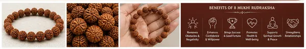 Ratna_Shree_8_Mukhi_Nepali_Rudraksha_Bracelet_|_Original_Nepal_Certified_Eight_Face_for_Men_&_Women_|_Lab_Tested_Bracelet_|_Premium_Spiritual_Wear