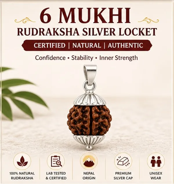 Ratna_Shree_Jewellers_&_Gems_Brown_6_Mukhi_Rudraksha_Silver_Locket_for_Men_&_Women_|_Natural_Six_Face_Rudraksha_Pendant_|_Spiritual_Jewellery_|_Premium_Finish_|_Daily_Wear_Pendant