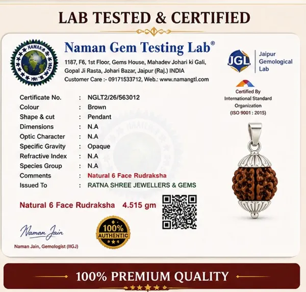 Ratna_Shree_Jewellers_&_Gems_Brown_6_Mukhi_Rudraksha_Silver_Locket_for_Men_&_Women_|_Natural_Six_Face_Rudraksha_Pendant_|_Spiritual_Jewellery_|_Premium_Finish_|_Daily_Wear_Pendant