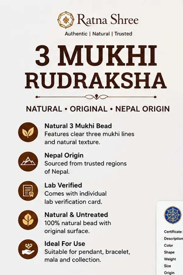 Ratna_Shree_Natural_3_Mukhi_Rudraksha_Bead_Nepali_Original_Round_Brown_Rudraksha_with_Lab_Certification_Card_for_Pendant_Bracelet_Mala_Puja_Collection_Spiritual_Gift