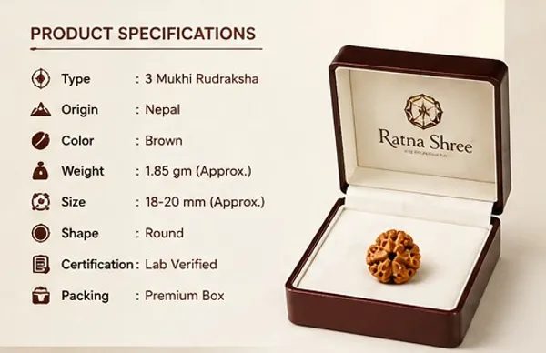 Ratna_Shree_Natural_3_Mukhi_Rudraksha_Bead_Nepali_Original_Round_Brown_Rudraksha_with_Lab_Certification_Card_for_Pendant_Bracelet_Mala_Puja_Collection_Spiritual_Gift