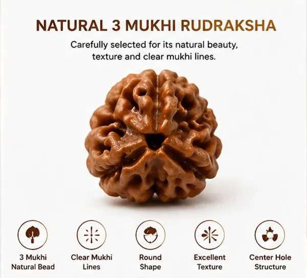 Ratna_Shree_Natural_3_Mukhi_Rudraksha_Bead_Nepali_Original_Round_Brown_Rudraksha_with_Lab_Certification_Card_for_Pendant_Bracelet_Mala_Puja_Collection_Spiritual_Gift