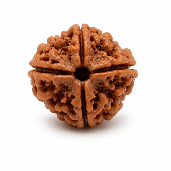 Ratna_Shree_Natural_4_Mukhi_Rudraksha_Bead_Lab_Verified_Original_Nepal_Rudraksha_for_Pendant_Bracelet_Mala_Puja_Collection_Brown_Round_Rudraksh_Seed