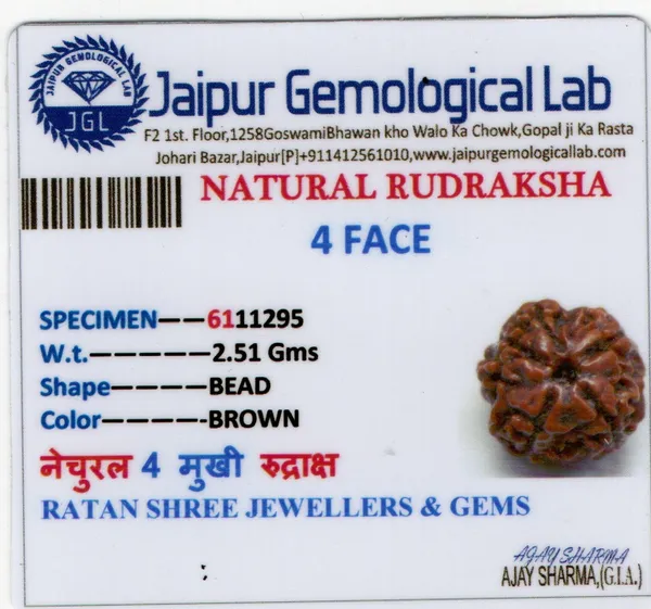 Ratna_Shree_Natural_4_Mukhi_Rudraksha_Bead_Lab_Verified_Original_Nepal_Rudraksha_for_Pendant_Bracelet_Mala_Puja_Collection_Brown_Round_Rudraksh_Seed
