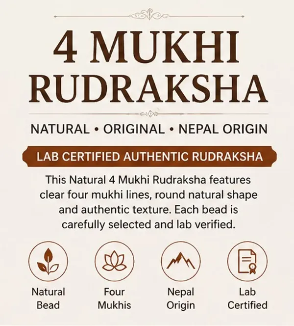 Ratna_Shree_Natural_4_Mukhi_Rudraksha_Bead_Lab_Verified_Original_Nepal_Rudraksha_for_Pendant_Bracelet_Mala_Puja_Collection_Brown_Round_Rudraksh_Seed