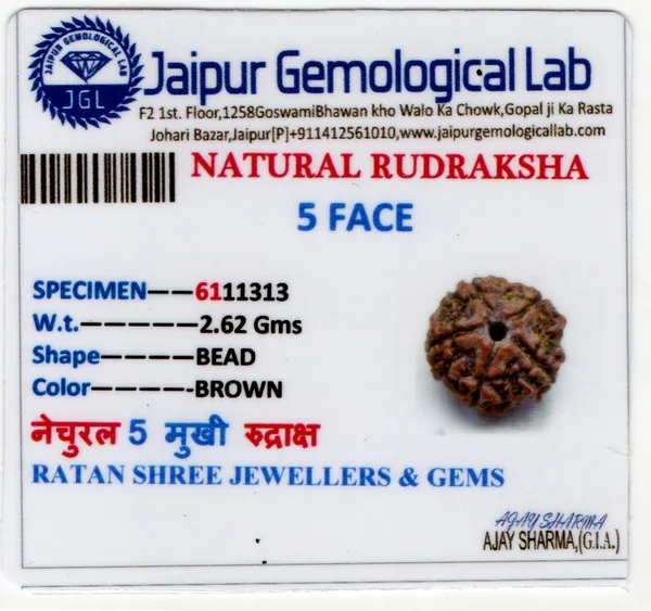 Ratna_Shree_Natural_5_Mukhi_Rudraksha_Bead_Lab_Certified_Original_Nepal_Rudraksha_for_Pendant_Bracelet_Mala_Puja_Collection_Brown_Round_Rudraksh_Seed