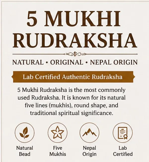 Ratna_Shree_Natural_5_Mukhi_Rudraksha_Bead_Lab_Certified_Original_Nepal_Rudraksha_for_Pendant_Bracelet_Mala_Puja_Collection_Brown_Round_Rudraksh_Seed