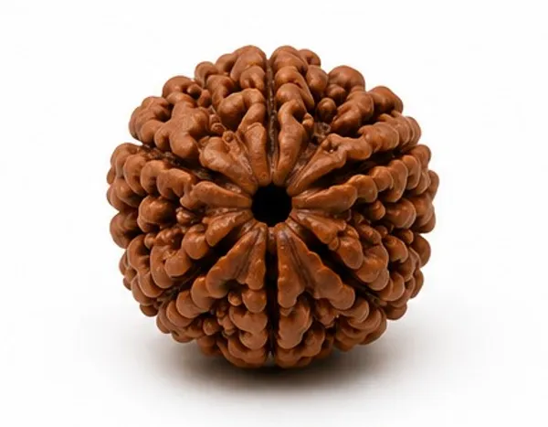 Ratna_Shree_Natural_5_Mukhi_Rudraksha_Bead_Lab_Certified_Original_Nepal_Rudraksha_for_Pendant_Bracelet_Mala_Puja_Collection_Brown_Round_Rudraksh_Seed