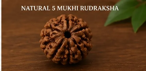 Ratna_Shree_Natural_5_Mukhi_Rudraksha_Bead_Lab_Certified_Original_Nepal_Rudraksha_for_Pendant_Bracelet_Mala_Puja_Collection_Brown_Round_Rudraksh_Seed