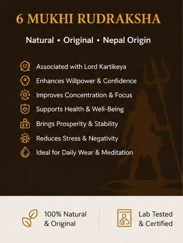 Ratna_Shree_Natural_6_Mukhi_Rudraksha_Bead_Lab_Certified_Original_Nepal_Rudraksh_|_Six_Face_Rudraksha_for_Pendant_Bracelet_Puja_Collection_&_Spiritual_Use