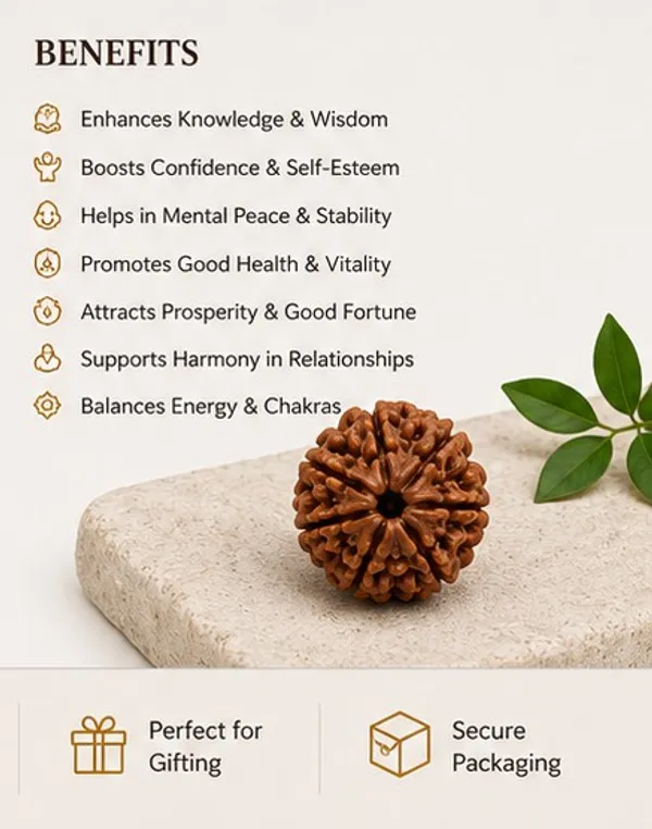 Ratna_Shree_Natural_6_Mukhi_Rudraksha_Bead_Lab_Certified_Original_Nepal_Rudraksh_|_Six_Face_Rudraksha_for_Pendant_Bracelet_Puja_Collection_&_Spiritual_Use