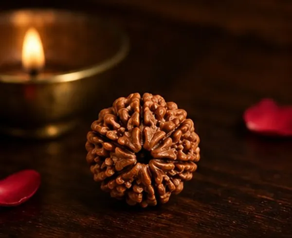 Ratna_Shree_Natural_6_Mukhi_Rudraksha_Bead_Lab_Certified_Original_Nepal_Rudraksh_|_Six_Face_Rudraksha_for_Pendant_Bracelet_Puja_Collection_&_Spiritual_Use
