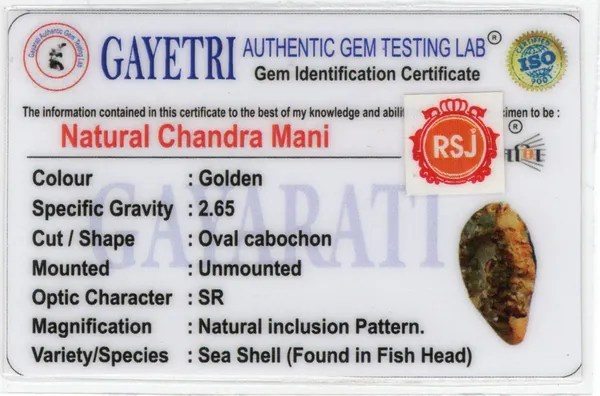 Ratna_Shree_Natural_Chandra_Mani_Stone_Certified_|_Rare_Moon-Associated_Spiritual_Stone_|_Original_Chandra_Mani_for_Collection,_Pendant_&_Astrology_Use_|_Unique_Lunar_Gem_Specimen