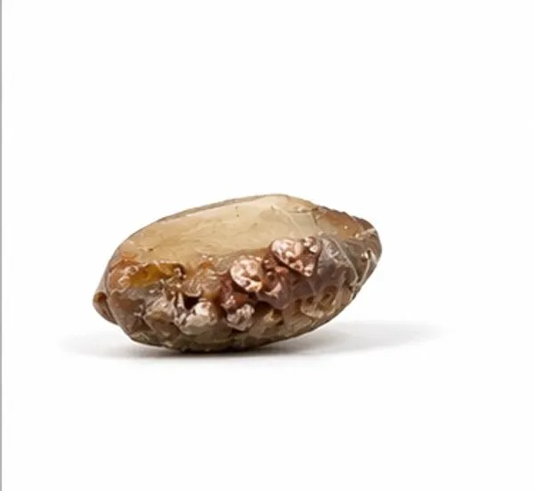 Ratna_Shree_Natural_Chandra_Mani_Stone_Certified_|_Rare_Moon-Associated_Spiritual_Stone_|_Original_Chandra_Mani_for_Collection,_Pendant_&_Astrology_Use_|_Unique_Lunar_Gem_Specimen