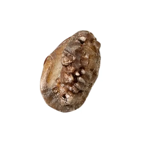 Ratna_Shree_Natural_Chandra_Mani_Stone_Certified_|_Rare_Moon-Associated_Spiritual_Stone_|_Original_Chandra_Mani_for_Collection,_Pendant_&_Astrology_Use_|_Unique_Lunar_Gem_Specimen