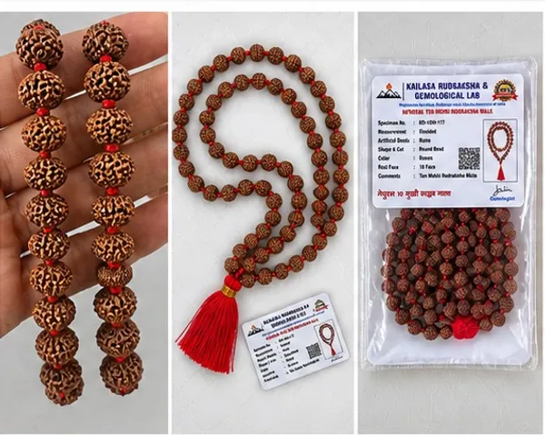 Ratna_Shree_Original_Nepali_Rudraksha_Mala_108+1_Beads_Lab_Certified_Natural_Prayer_Jaap_Mala_for_Men_Women_Meditation_&_Spiritual_Use_(10_Mukhi_Mala)