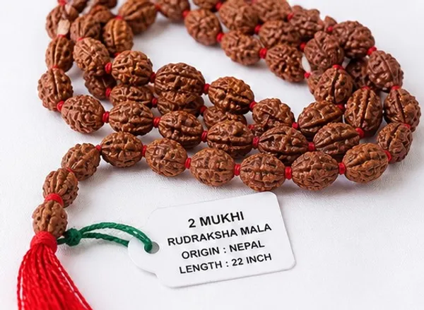 Ratna_Shree_Original_Nepali_Rudraksha_Mala_108+1_Beads_Lab_Certified_Natural_Prayer_Jaap_Mala_for_Men_Women_Meditation_&_Spiritual_Use_(2_Mukhi_Mala)