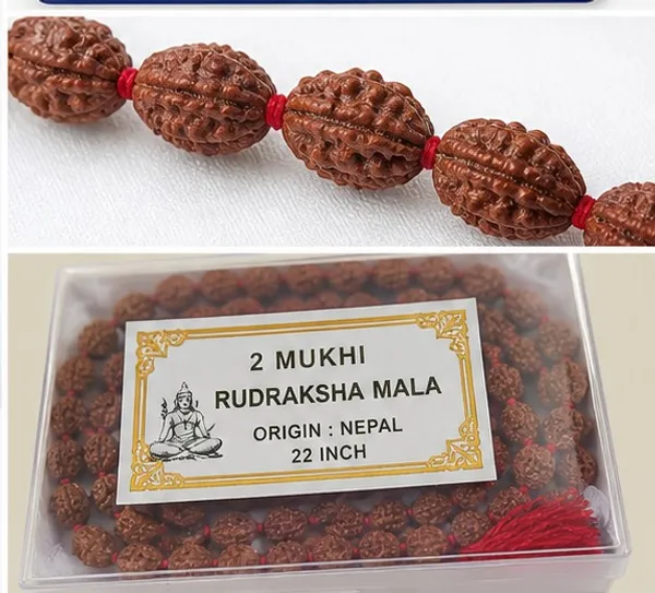 Ratna_Shree_Original_Nepali_Rudraksha_Mala_108+1_Beads_Lab_Certified_Natural_Prayer_Jaap_Mala_for_Men_Women_Meditation_&_Spiritual_Use_(2_Mukhi_Mala)
