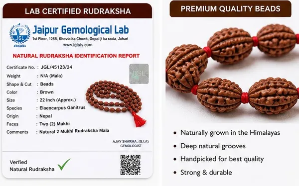 Ratna_Shree_Original_Nepali_Rudraksha_Mala_108+1_Beads_Lab_Certified_Natural_Prayer_Jaap_Mala_for_Men_Women_Meditation_&_Spiritual_Use_(2_Mukhi_Mala)