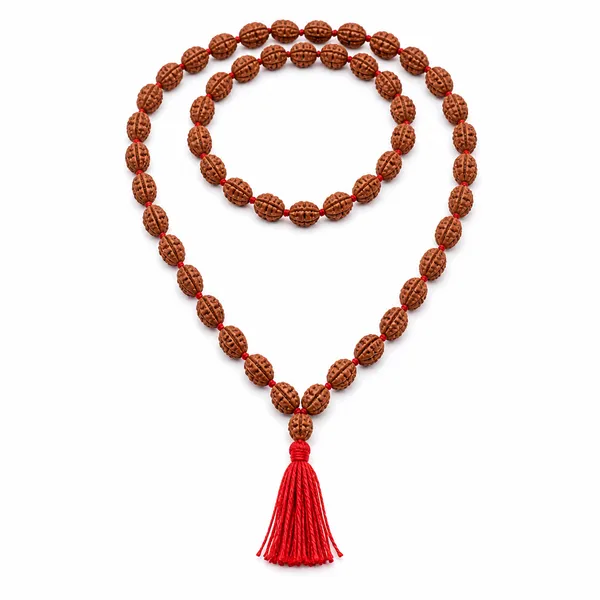 Ratna_Shree_Original_Nepali_Rudraksha_Mala_108+1_Beads_Lab_Certified_Natural_Prayer_Jaap_Mala_for_Men_Women_Meditation_&_Spiritual_Use_(2_Mukhi_Mala)