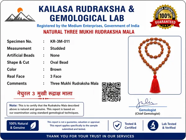 Ratna_Shree_Original_Nepali_Rudraksha_Mala_108+1_Beads_Lab_Certified_Natural_Prayer_Jaap_Mala_for_Men_Women_Meditation_&_Spiritual_Use_(3_Mukhi_Mala)