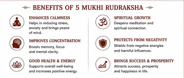 Ratna_Shree_Original_Nepali_Rudraksha_Mala_108+1_Beads_Lab_Certified_Natural_Prayer_Jaap_Mala_for_Men_Women_Meditation_&_Spiritual_Use_(5_Mukhi_Mala)